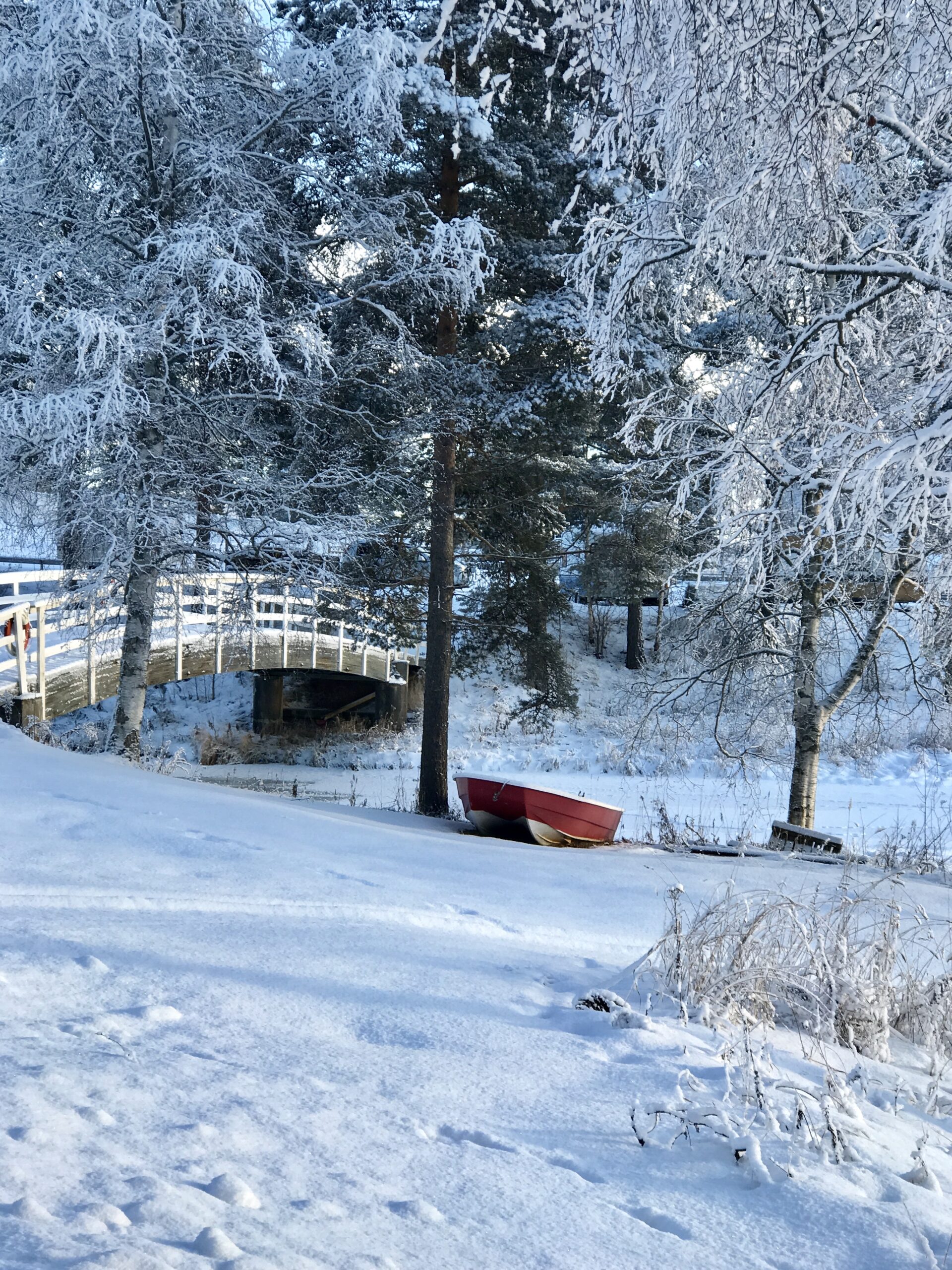 Ljungan i vinterskrud