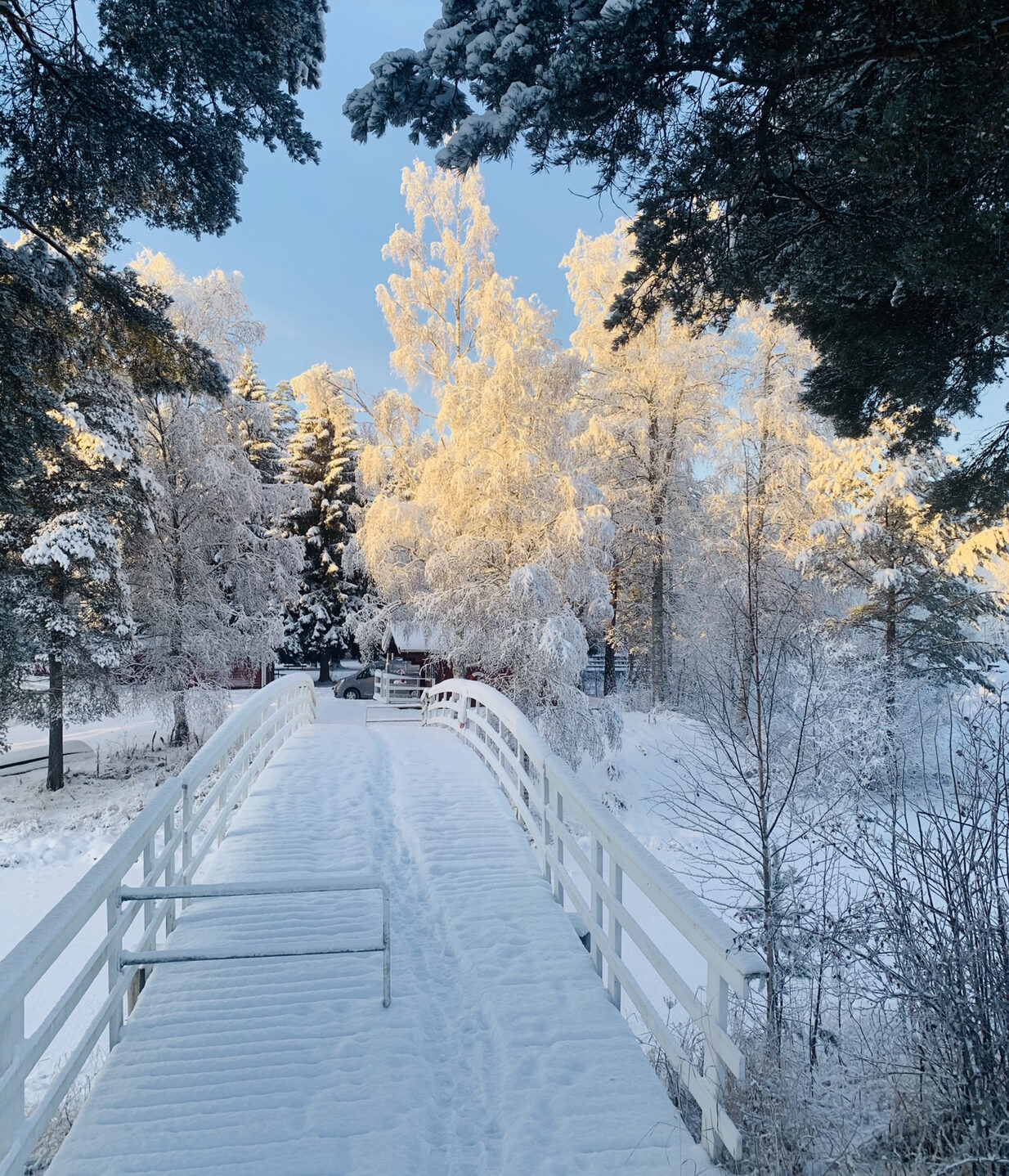 vinter på campingen